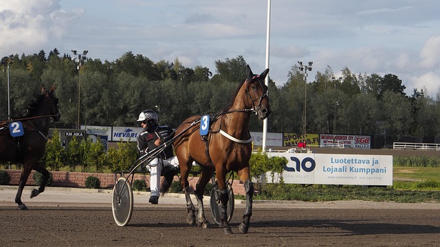 Overraskelser på startlisten: Outsidere, du skal holde øje med i dansk trav derby